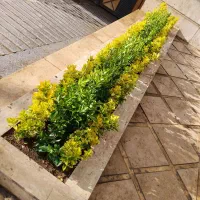 خدمات باغبانی شبانه روزی تضمینی در تهران و البرز