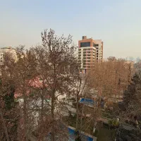 ۳۲۰ متری کلنگی /بر۱۲،۵/ کردستان شمالی/ تک مالک
