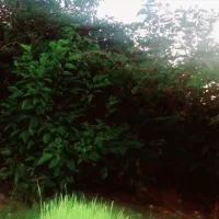 خونه صالح شهر