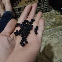 دانه گل یسر برای درست کردن تسبیح