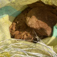 کود مرغی|خدمات باغبانی و درختکاری|لنگرود, |دیوار