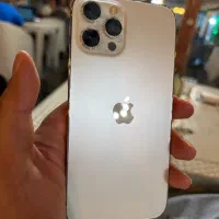 iphone 12 promax 256