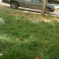 پراید ۸۸|خودرو سواری و وانت|اندیمشک, |دیوار