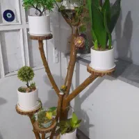 استند گل  طرح درختی