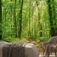 چاپ کاغذدیواری سه بعدی|تابلو، نقاشی، عکس|رشت, شالکو|دیوار