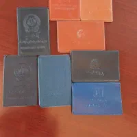 تعدادی جاکارتی نو