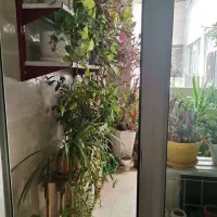 ۱۵۰متر۲خواب سالن بزرگ/ تمیزومرتب/کم واحد/تاچارا