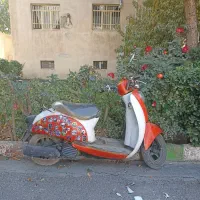 هندا پاکشتی اسکوپی