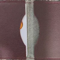 گم شدن کارت سوخت و کارت بانکی