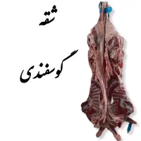 فروش کلی و جزئی گوشت قرمز دامی گوسفند و گوساله|خوردنی و آشامیدنی|مشهد, مقدم|دیوار