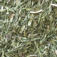 گردو|عمده‌فروشی|اندیمشک, |دیوار