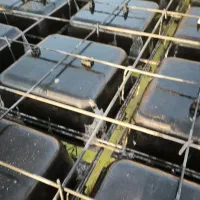 کارگر و استاد کار آرماتور بند|استخدام معماری، عمران و ساختمانی|خرمآباد, |دیوار