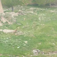 زمین-داخل-طرح-هادی-روستای-هزاوه