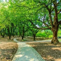 باغ-دوکوهک-با-درختان-قدیمی-60-ساله-و-ساختمان60متری