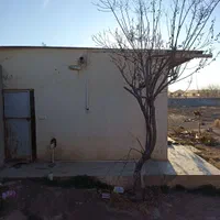 فروش ۱ هکتار /گلخانه فعال/قرچک /جاده فیلستان|فروش دفتر صنعتی، کشاورزی، تجاری|قرچک, صالح آباد|دیوار