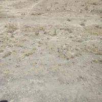 زمین مناسب گلخانه