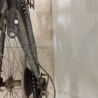 دوچرخه دماوند|دوچرخه، اسکیت، اسکوتر|مشهد, تلگرد|دیوار