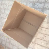 کارتن خالی سالم