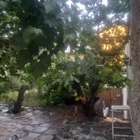 خانه-باغ