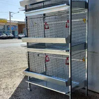 قفس جوجه یکروزه ،مرغ ، بلدرچین  و کبک تخمگذار و..|لوازم جانبی حیوانات|ساری, |دیوار