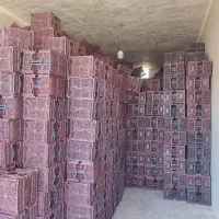 نیازمند کارگر جهت کار کشاورزی