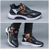 کیف و کفش پریماه|کیف، کفش، کمربند|صومعهسرا, |دیوار