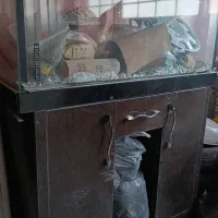 اکواریوم با میزش