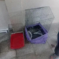 قفس پرنده