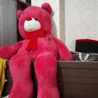 خرس ولنتاین