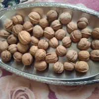 فروش گردو
