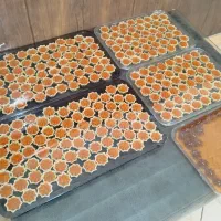 خوشمزه های خونگی|خدمات پذیرایی، مراسم|رودسر, |دیوار