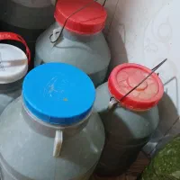 ترشی چکنی افغانستان|خوردنی و آشامیدنی|مشهد, رده|دیوار