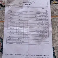 موتور رهرو ۲۰۰ کاربراتور مدل ۱۴۰۱|موتورسیکلت|اندیمشک, |دیوار