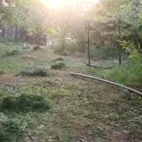 زمین طالقان|فروش زمین و ملک کلنگی|طالقان, |دیوار