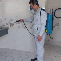 سمپاشی سوسک و طعمه گذاری موش(ساس و غیره)|خدمات نظافت|اسلامشهر, شهرک قائمیه|دیوار