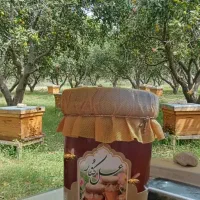 عسل کنار ( اعلاء)