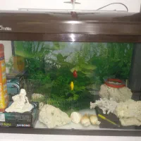 اکواریوم شیشه خم خارجی