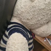 عروسک خرسی بزرگ|اسباب‌بازی بچه|اصفهان, شیخ اشراق|دیوار