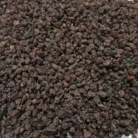 کشمش اعلا درجه یک