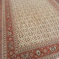 ماهی ۵۰ رج تبریز