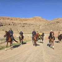 باشگاه اسب سواری یاران ارپادرسی