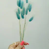 گل خشک|گل و گیاه طبیعی|تهران, شکیبا|دیوار