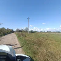 5 هزار متر زمین شالیزار/مکانیزه در لفمجان|فروش دفتر صنعتی، کشاورزی، تجاری|لاهیجان, لفمجان|دیوار