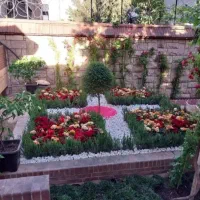 خدمات باغبانی باغچه کاری تعویض خاک گلدون گل وگیا