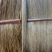 انجام خدمات موخوره گیری و اموزش