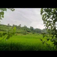 ۲۵۰متر زمین شهری ۱۲متر بر