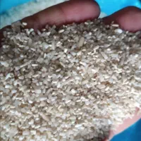 نیم دانه عنبربو یک و دویست. دانه کامل یک وششصد