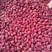انواع حبوبات و ادویه