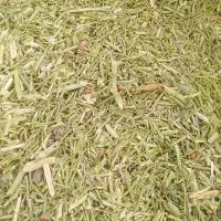 خارشتری