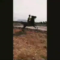 مادیان درجه یک